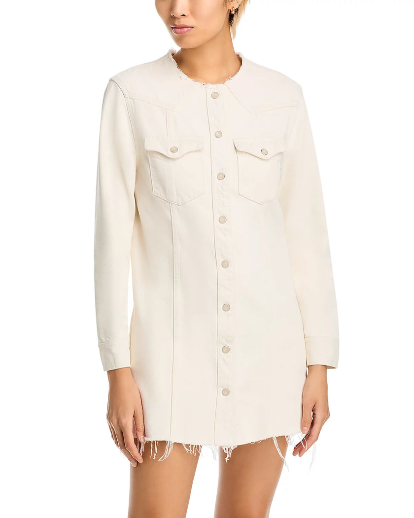 Riley Denim Mini Dress