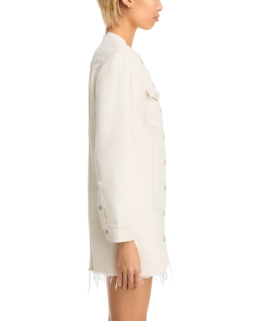 Riley Denim Mini Dress