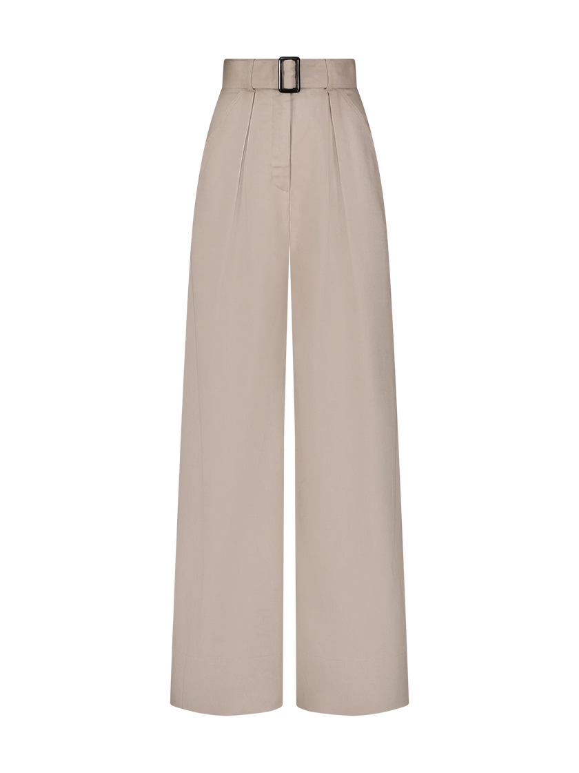 Wide Leg Pleated Pants