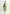 Haries Pleated Midi Skirt
