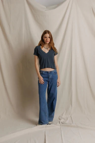A woman stands against a draped beige fabric backdrop wearing a dark navy cropped V-neck T-shirt and wide-leg blue jeans.

Perfect White Tee - Alanis in Turbulence. Available at Edit by Elaine Turner in Houston, TX. Full Model front view. 