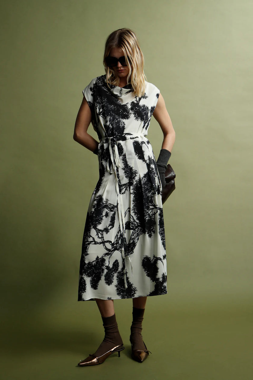 Whispering Lines Silk Dress